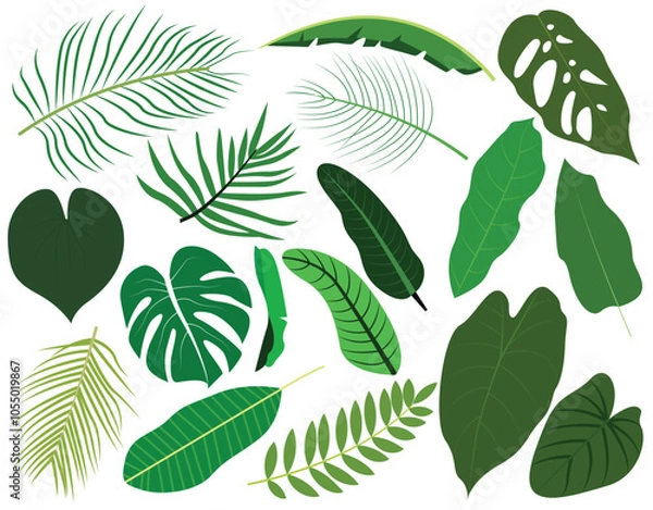 Fototapeta Set of tropical leaves and palm fronds leaf vector illustration.