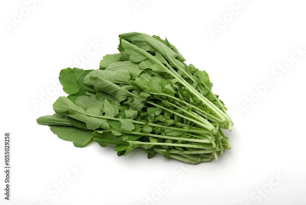 Obraz 大根葉　間引き菜