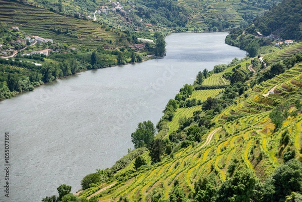 Obraz Quaint Douro valley with terraced vineyards at Imaginario viewpoint