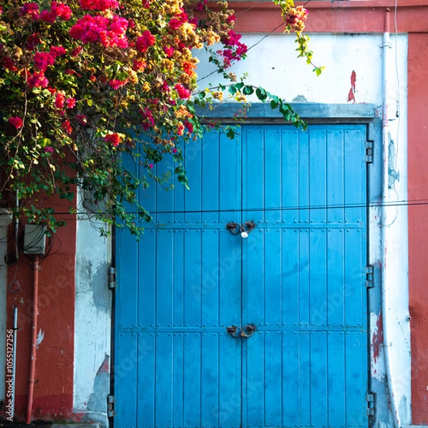 Fototapeta Blue iron and wooden color gate with red color concrete wall on the side of tree with red colored flower, white town building iron gate for photo shoot