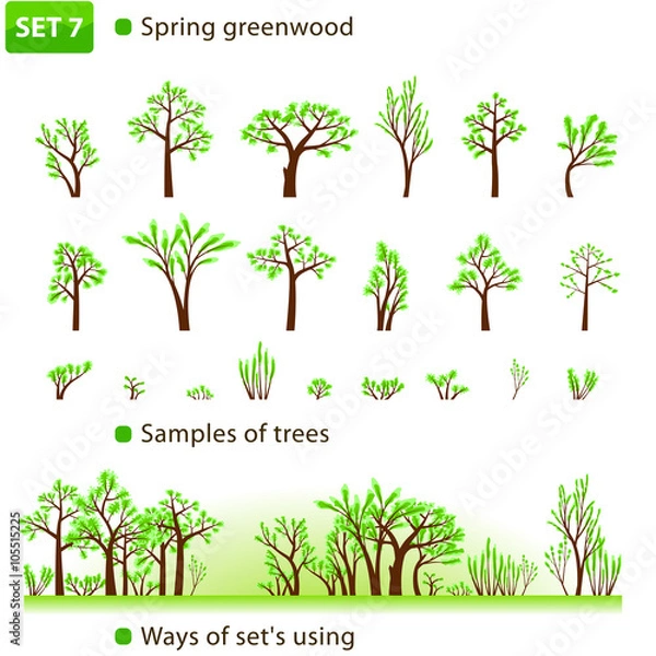 Fototapeta Spring greenwood. Set 7. (Spring deciduous forest.)