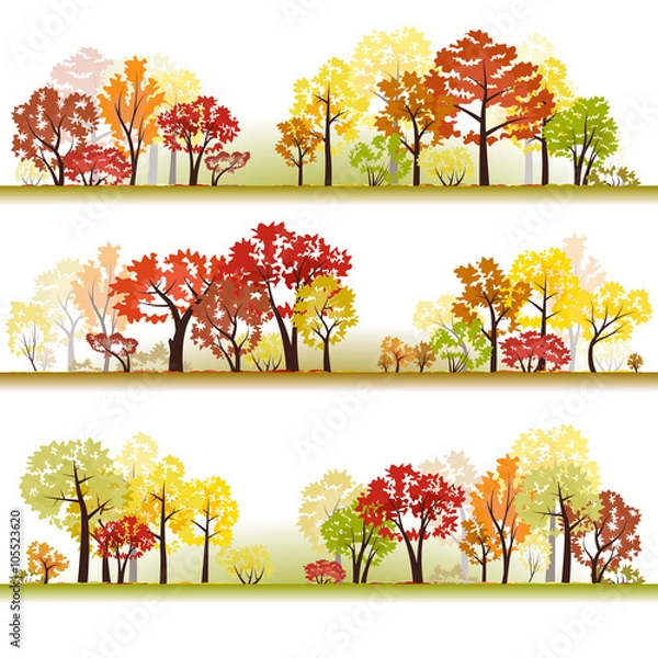 Fototapeta Forest. Samples 4. Late autumn. Fall. Defoliation.