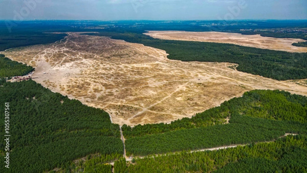 Obraz Pustynia błędowska