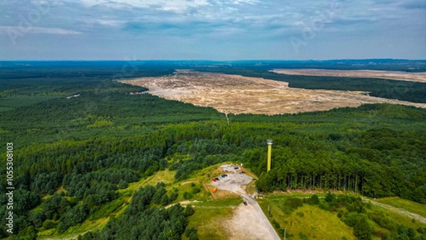 Obraz Pustynia błędowska