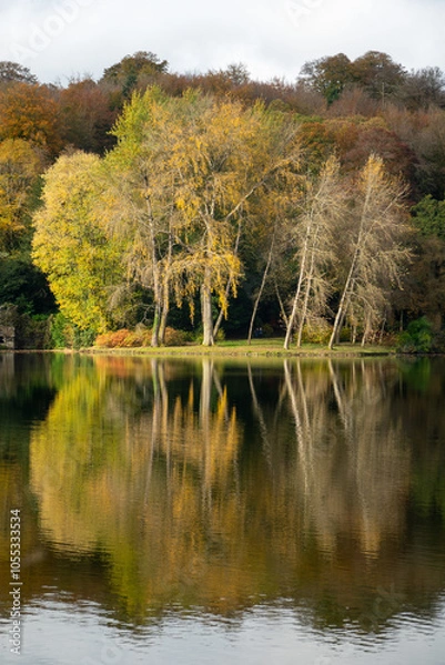Fototapeta Autumn reflections with trees. Stourhead
