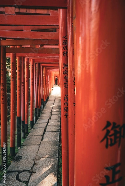 Obraz temple torii rouge Japon