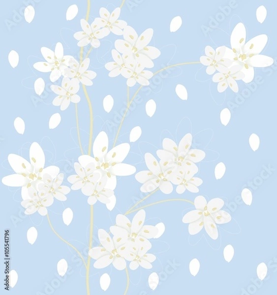 Fototapeta Seamless pattern with jasmine
