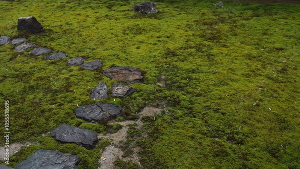 Fototapeta 枯山水