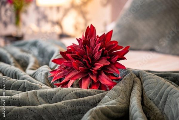 Fototapeta Closeup of a red flower placed ona folded blanket on top of a bed.