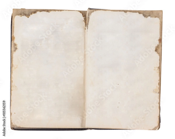 Obraz Old open book