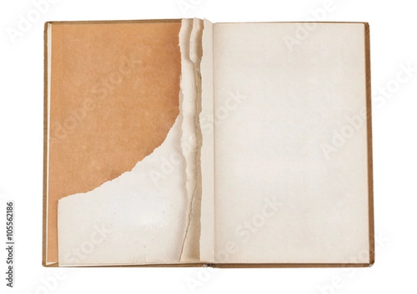 Obraz Open old book with torn page