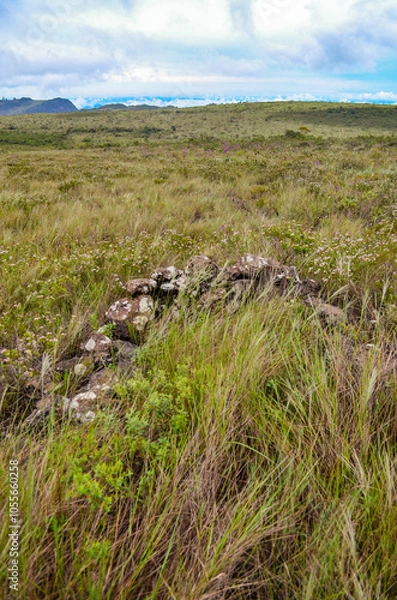 Fototapeta Ruins of an ancient indigenous cemetery built with stones protecting the tombs of an ancient tribe in the state of Minas Gerais, Brazil