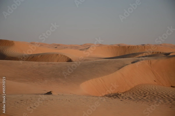Obraz Arabian Sand Dunes