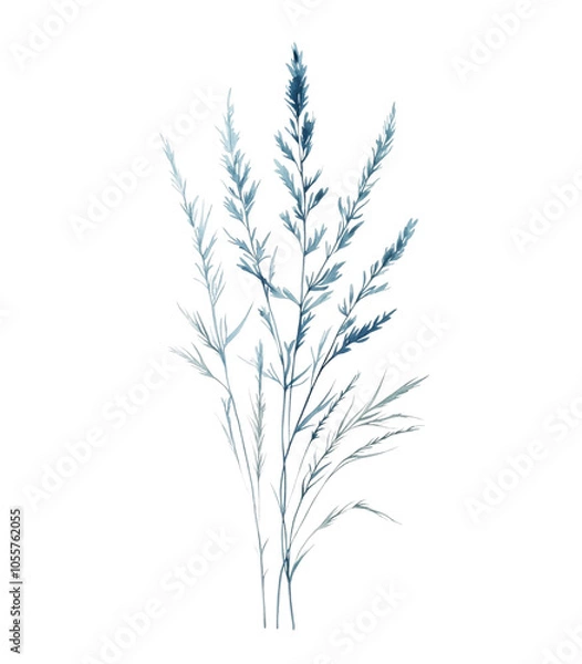 Fototapeta Isolated Wheat Stalks on White Background, Perfect for Agriculture and Design Projects