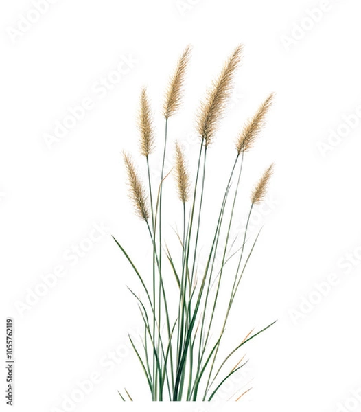 Obraz Golden wheat stalks sway in the summer breeze, a symbol of agriculture and nature's bounty
