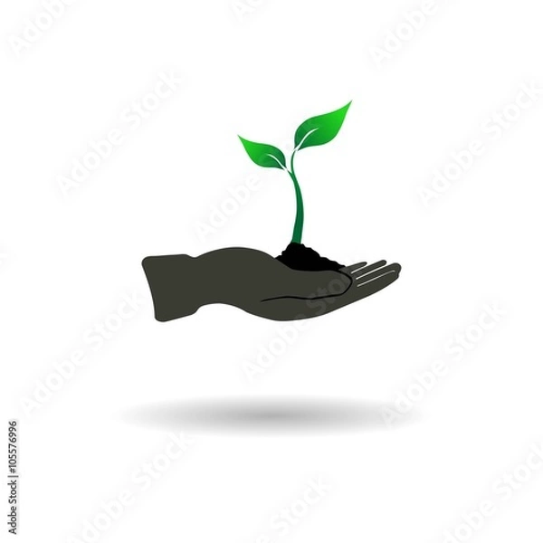 Fototapeta Young plant in one hand, logo, vector