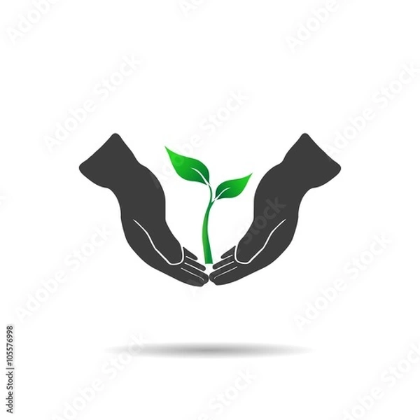 Obraz Young plant on a white background, vector