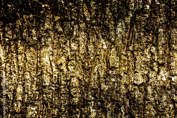 Fototapeta Dramatic abstract textured background in shades of gold and black.