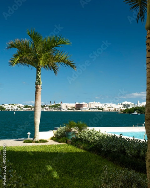 Fototapeta Seaside in Bermuda Palm Trees