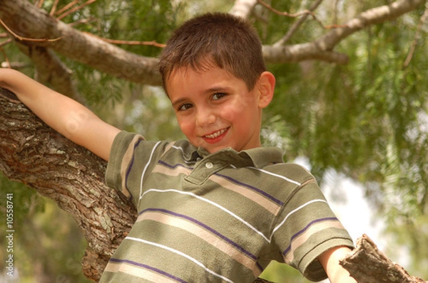 Fototapeta Young boy plays in a tree