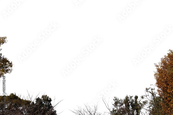 Obraz 紅葉の木・山　切り抜き