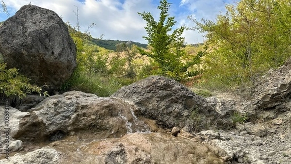Obraz rocks and firtree in the mountains
