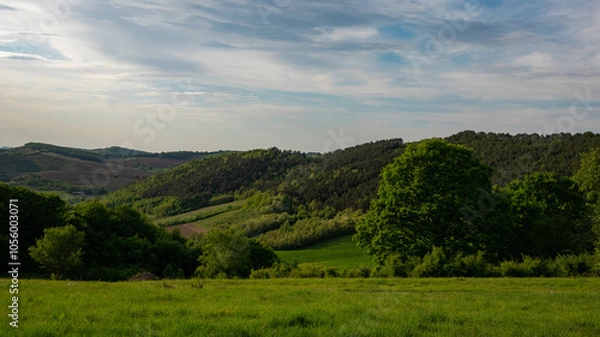 Obraz Green grass field with trees and bushes under blue sky
