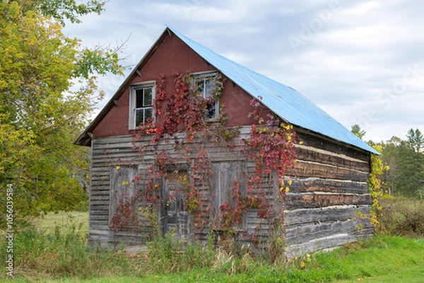 Obraz Rustic abandoned building in the countryside