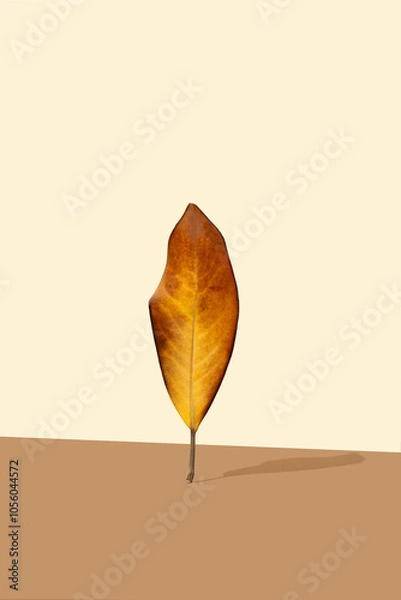 Obraz Colors of autumn on dry leaf. Autumn colors aesthetic. Copy space. Minimal concept.