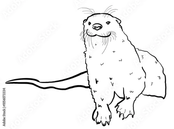 Obraz River Otter