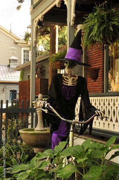 Fototapeta Skeleton in pointy hat on a bicycle, witchlike