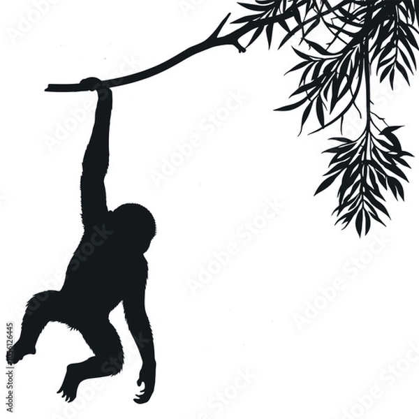 Fototapeta a monkey a monkey hanging on the tree stick vector silhouette