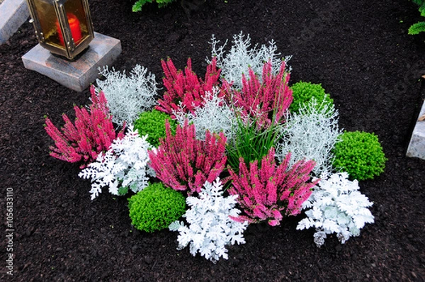 Obraz Grabbepflanzung