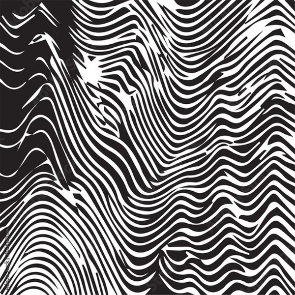 Fototapeta Black and white wavy background. Stylish texture with wavy stripes lines. Geometric abstract background illustration