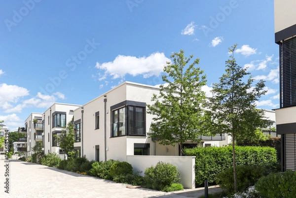 Obraz Residential area with ecological and sustainable green residential buildings, low-energy detached houses with white facade and flat roof, timber construction and green courtyard