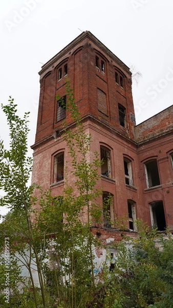 Fototapeta Abandoned, neglected and overgrown building