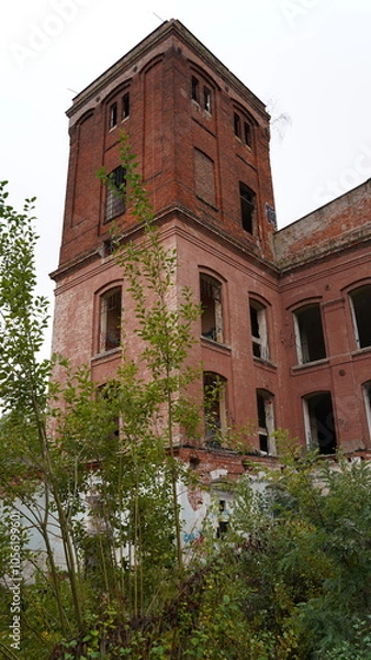 Fototapeta Abandoned, neglected and overgrown building