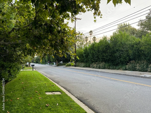 Obraz road through an idyllic green neighborhood - lawn, trees, bushes, hedges, telephone pole with wires, empty street with driveways, mail box, signs