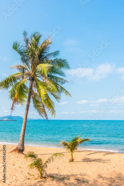 Fototapeta Coconut tree on the beach