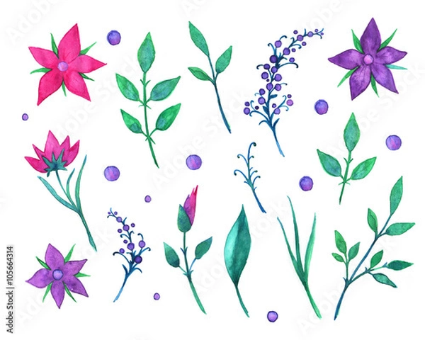 Obraz Watercolor flowers. Elements for design.