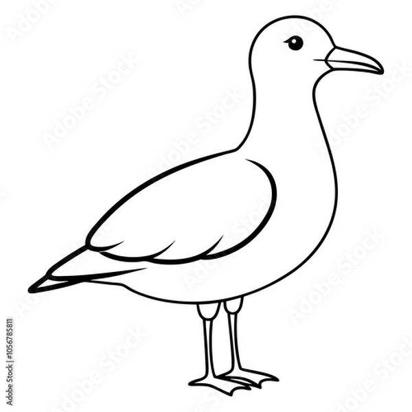 Obraz illustration of a gull