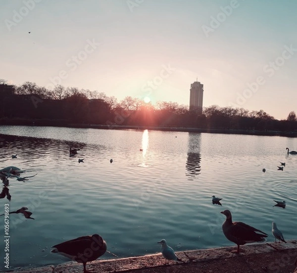 Obraz sunset on the lake