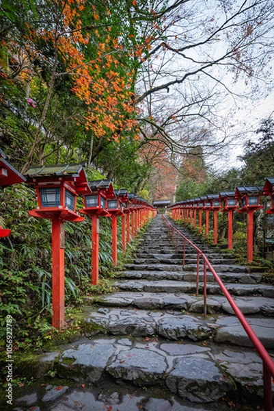 Fototapeta 京都　貴船