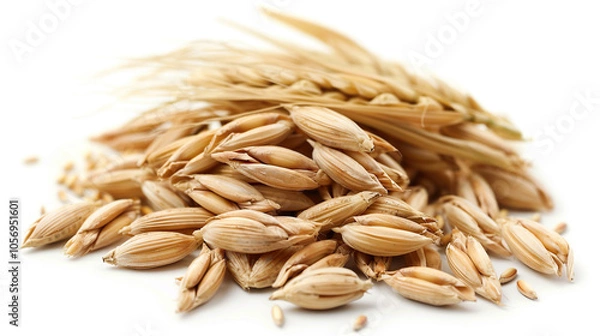 Fototapeta Barley Seeds isolated on pure white background