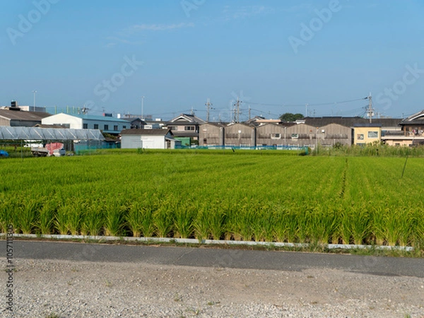 Obraz 町工場と田園風景