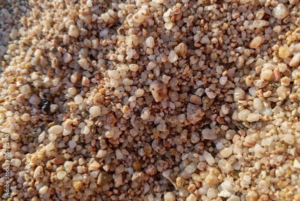 Fototapeta Close-Up of Sandy Beach Pebbles for Nature and Texture Design