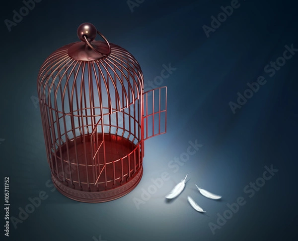 Fototapeta An open bird cage with feathers - freedom concept illustration