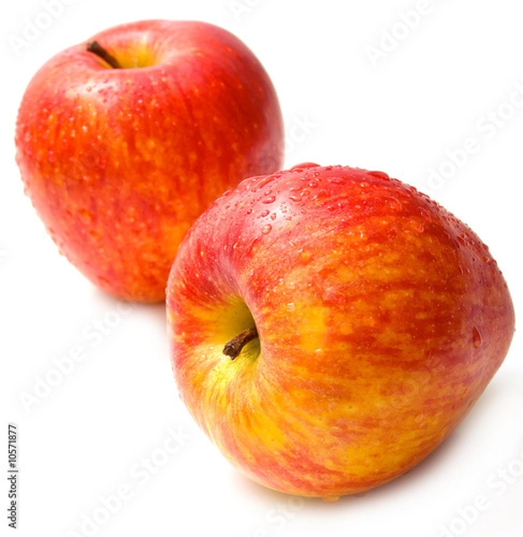 Obraz wet red apples