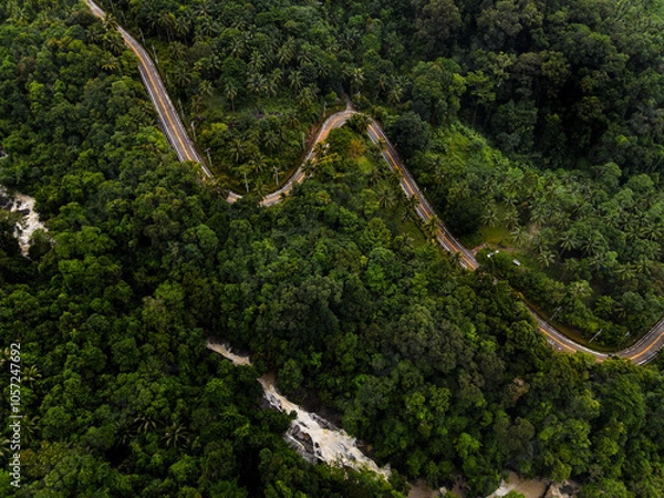 Obraz Rainforest from drone