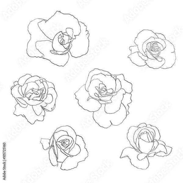 Fototapeta Flower line art set